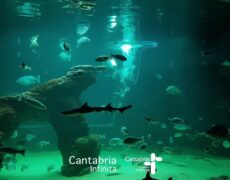 Descubre el turismo marítimo en Santander: Visita el Museo del Cantábrico
