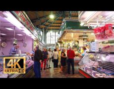 Descubre el turismo esperanzador en Santander: explorando su mercado