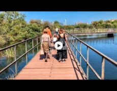 Descubre el encanto de pasear por el Parque de Las Llamas en Santander: una experiencia imprescindible para tu viaje de turismo