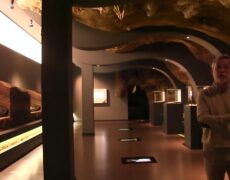 Descubre el fascinante pasado en el Museo de Prehistoria de Cantabria: una parada imprescindible en tu viaje a Santander